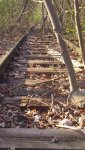 DSC_0893.jpg