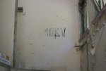 DSC02440.jpg