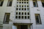 DSC02446.jpg