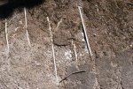 DSC02454.jpg