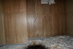 DSC02458.jpg