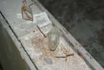 DSC02462.jpg