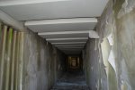 DSC02465.jpg