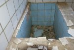 DSC02481.jpg