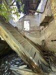 IMG_1622.JPEG