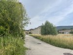 IMG_3932.jpeg