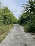 IMG_3957.jpeg