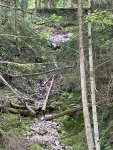 IMG_6578.JPG