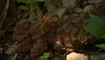 2306961_bigpicture_878190_24xxxx_bh_verschwundene_burgen_00_00_21_19.jpg
