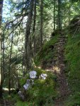 hallstatt_7.JPG