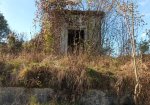 20221027_140428.jpg