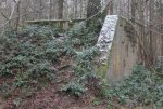 IMG_6287.JPG