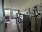IMG_3522.jpeg
