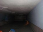 user10679_pic4249_1296676313.jpg