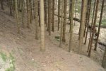 15. Weg zur Talsohle.JPG