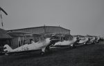 11. Focke Wulf FW 44 Stieglitz.JPG