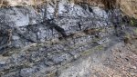 DSC03133.jpg