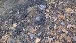 DSC03138.jpg