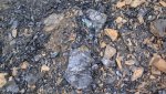DSC03140.jpg
