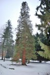 DSC_3977.jpg