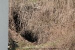 IMG_9498.JPG