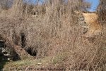IMG_9505.JPG