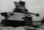 1945_3_5346407.jpg