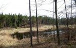 P1170801.JPG