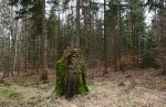 IMG_0901.JPG