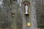 1.IMG_0127.JPG