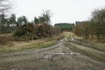 2. IMG_0129.JPG