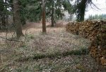 8. IMG_0016.JPG