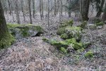1. IMG_0025.JPG