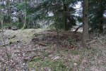 2. IMG_0042.JPG