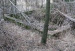 3. IMG_0044.JPG