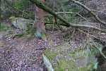 6. IMG_0055.JPG