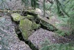 7. IMG_0089.JPG