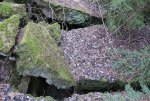 8. IMG_0094.JPG
