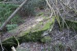 9. IMG_0102.JPG