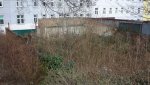 2017-03-05_Kaercherg1a_03_1000px.jpg