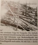 tunguska.jpg