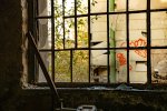 DSC_3664.jpg