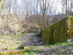 IMG_20200309_003710.jpg