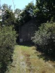 IMG_20200717_113723.jpg