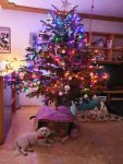 20211224_185806.jpg