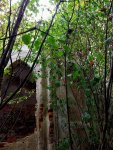 DSC001245.jpg