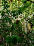 DSC001241.jpg