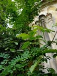 DSC001236.jpg