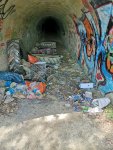 IMG_20220420_111749.jpg